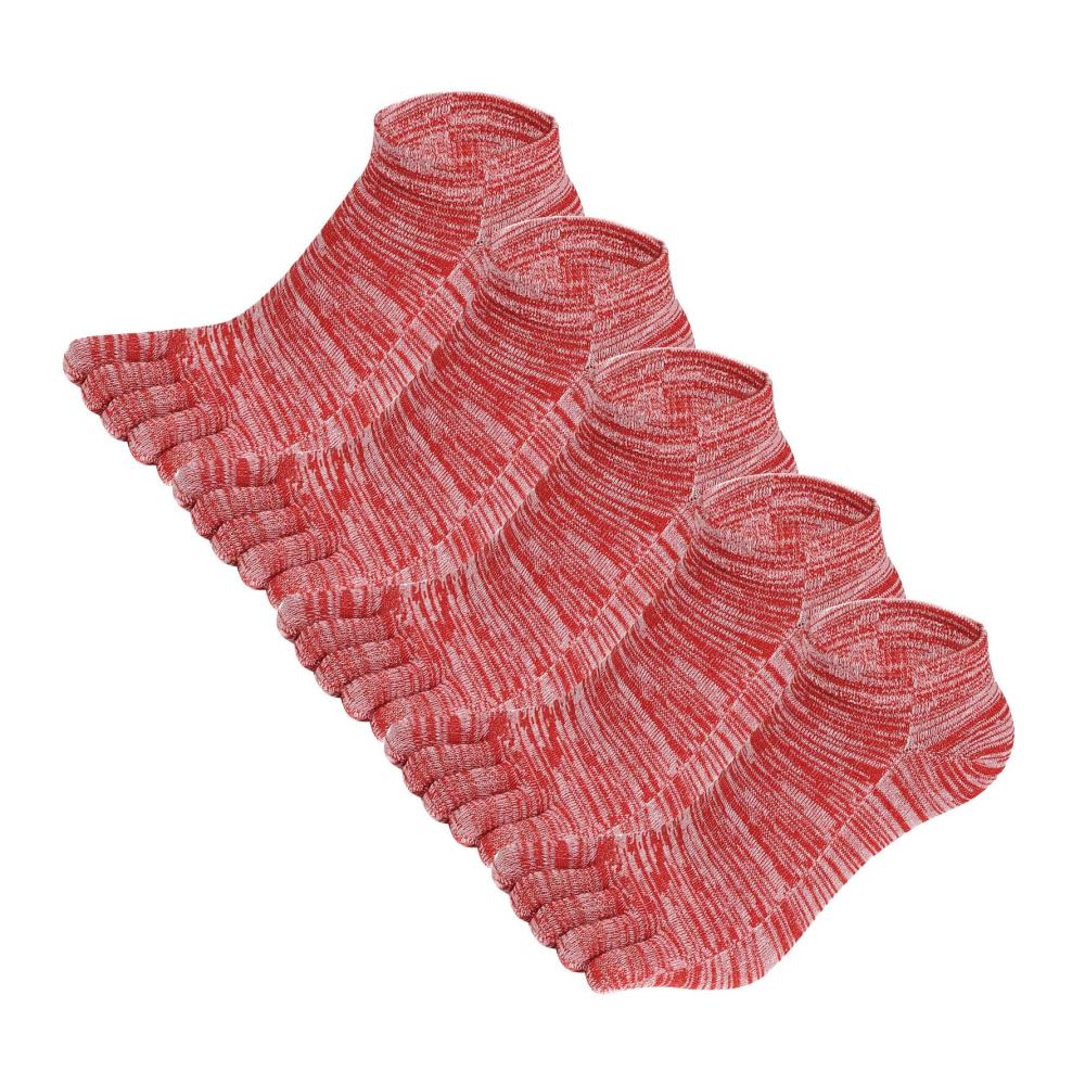 Rot Rot Rot Rot Rot