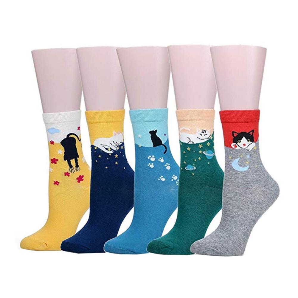 1sternenkatze